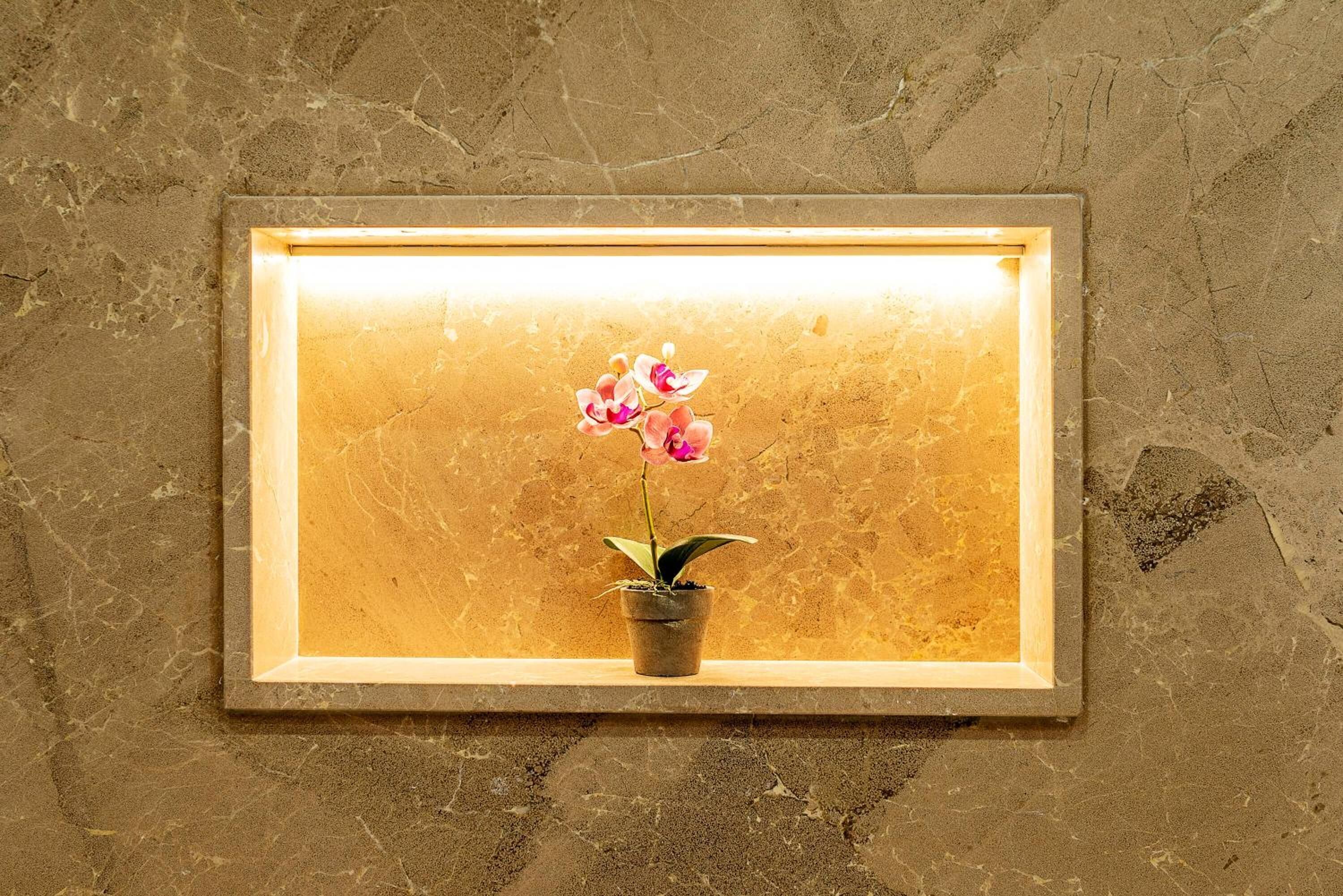 Foto - Hotel Paradise Residencial