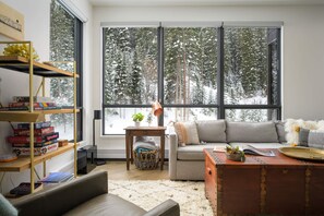 Smart TV, fireplace, stereo