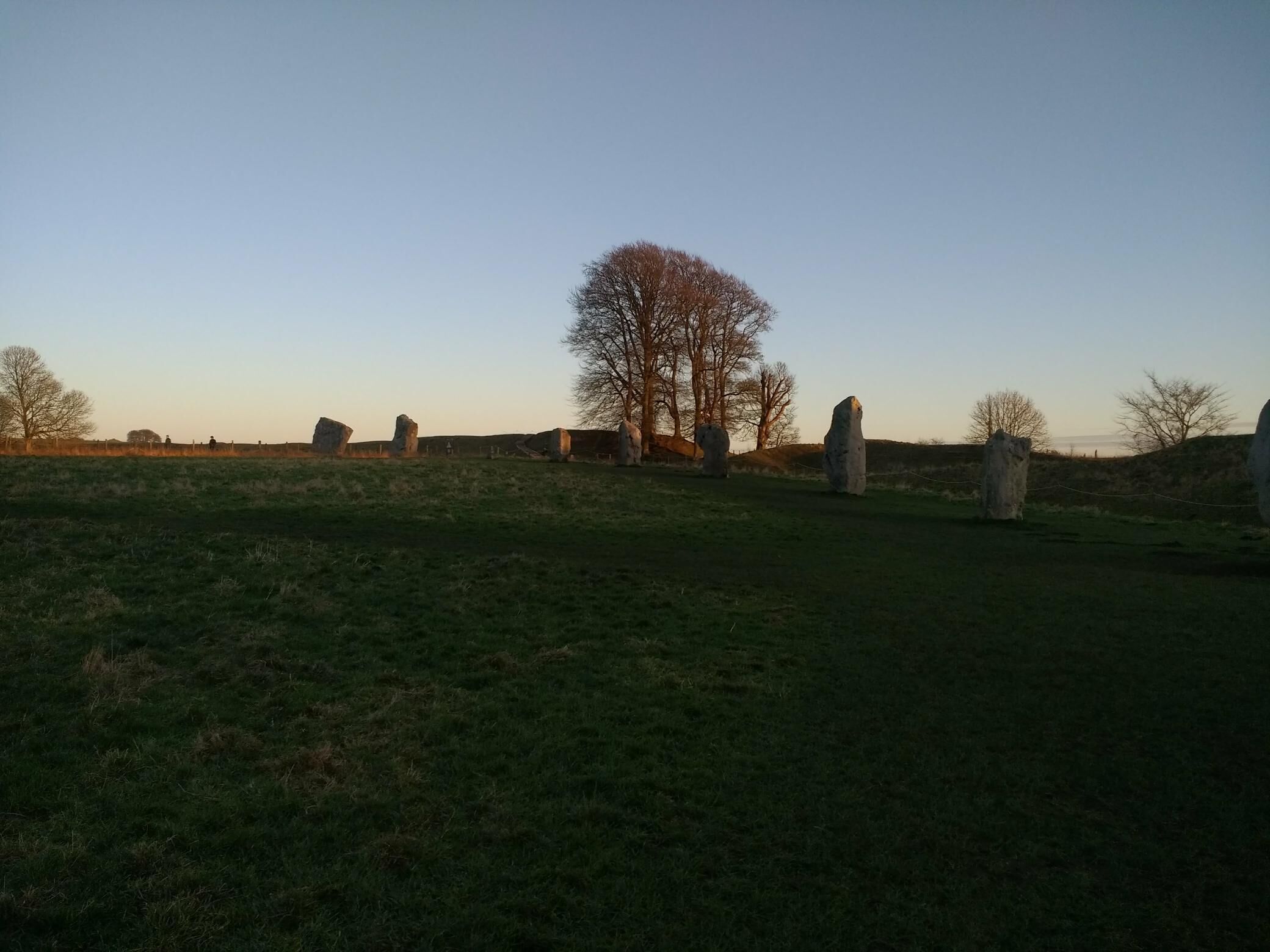 A grassy field with standing stones and leafless trees.