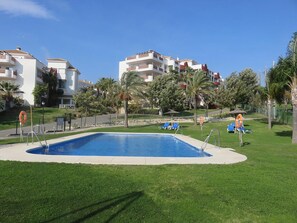 Une piscine entourée de pelouse, avec des chaises longues et des palmiers.