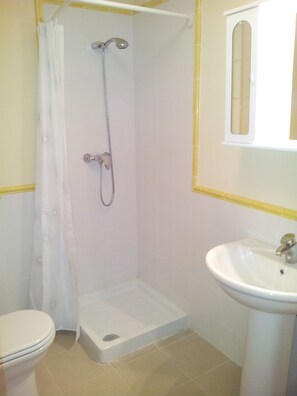 Une salle de bain avec douche, toilettes et lavabo.