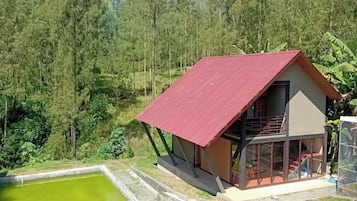 Näkymä puutarhaan