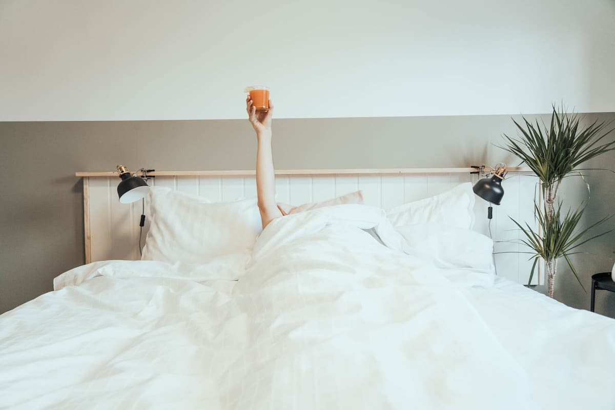 A bed with white linens, two bedside lamps, and a potted plant on the right side.