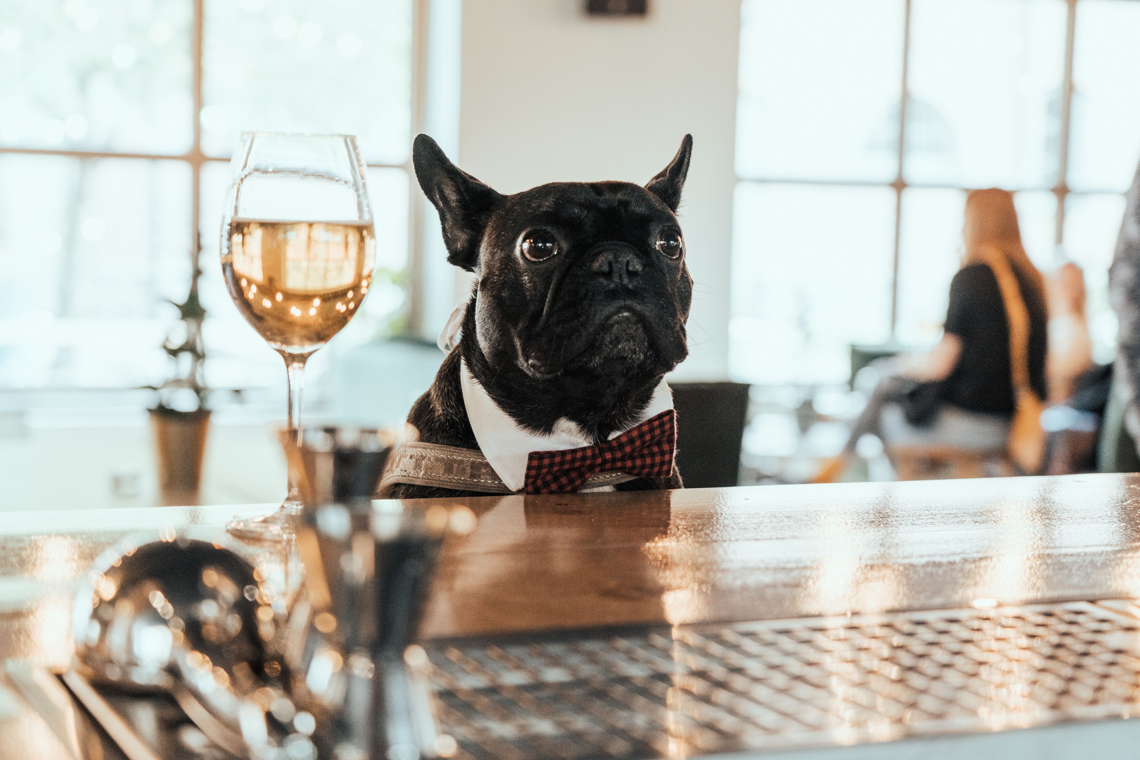 A dog wearing a bow tie sitting at a table with a glass of wine.