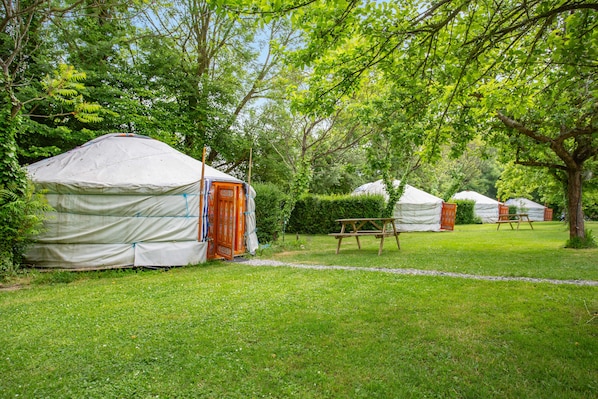 Jurten mit Picknicktischen in einer grünen, von Bäumen umgebenen Gegend.