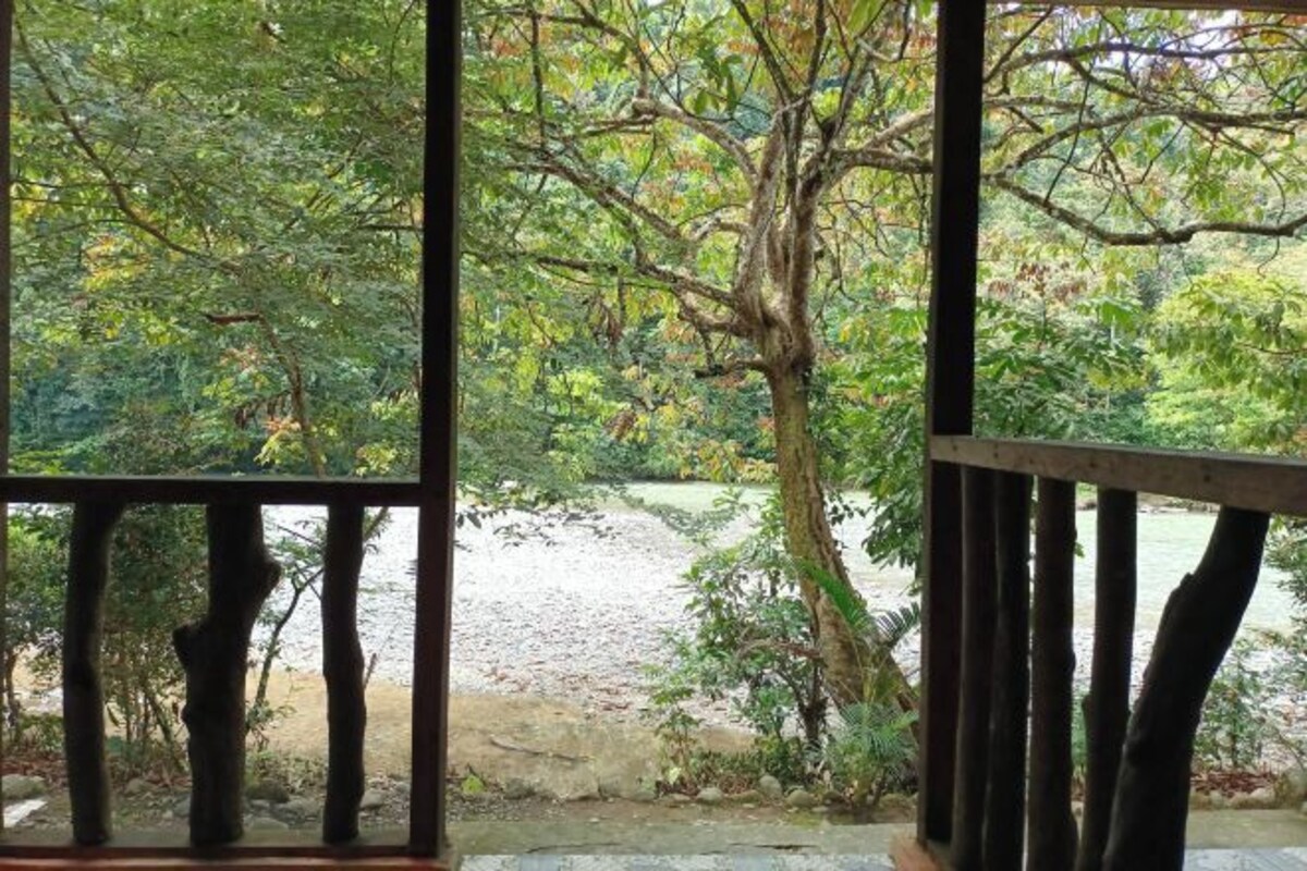 A view through a window with a wooden frame, featuring a tree and a riverbank.