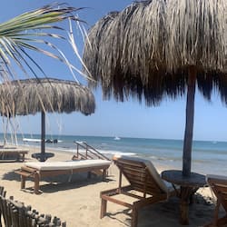 Plage privée, chaises longues, parasols