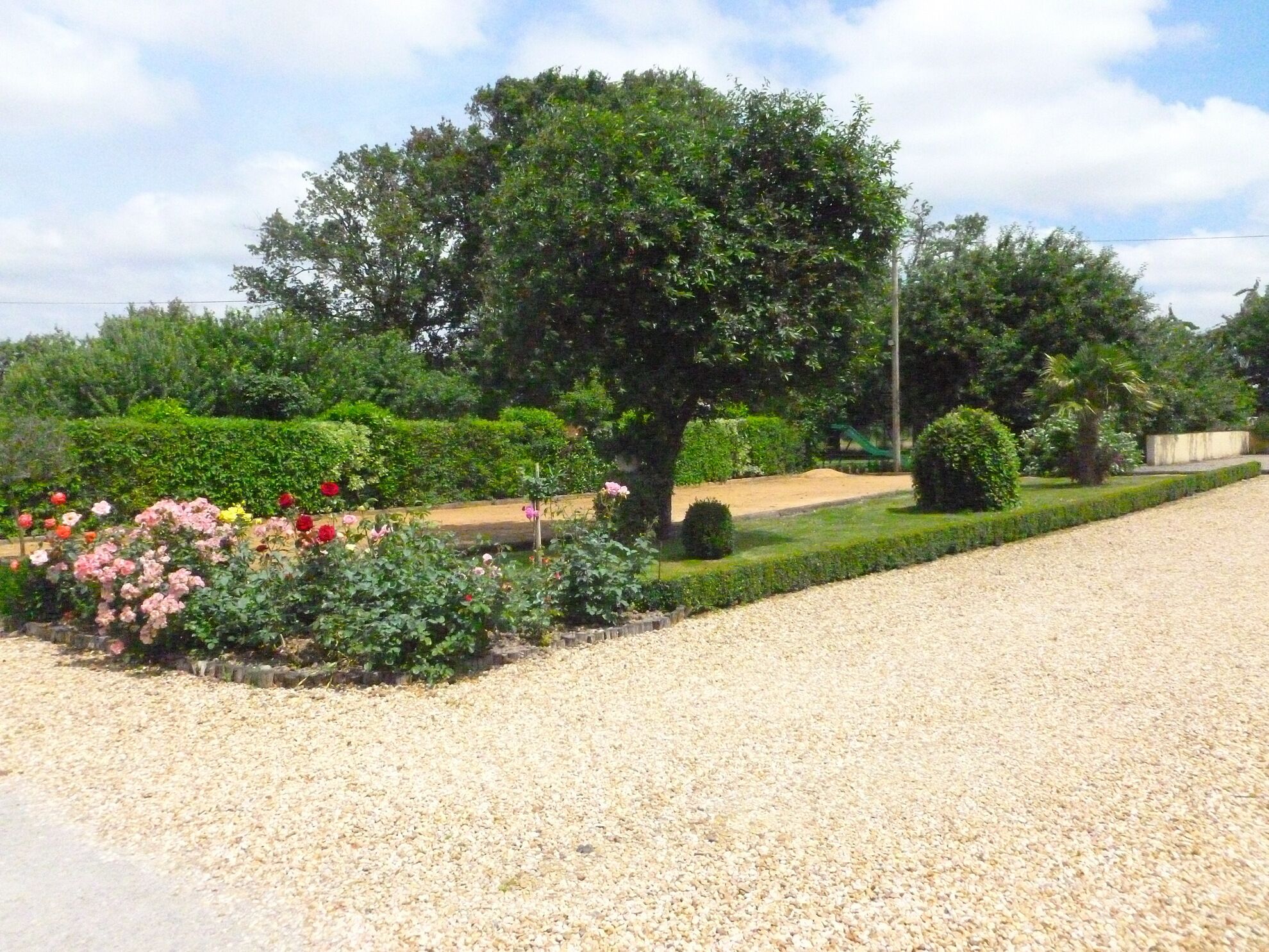 A garden with a gravel path, neatly trimmed hedges, and flowering plants.