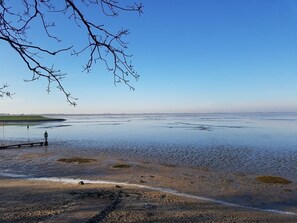 Beach nearby - Hello and welcome to Apartment Robbennest! (Dangast)