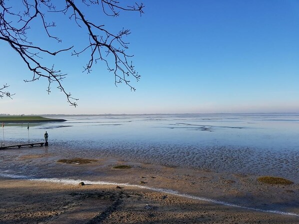 بالقرب من الشاطئ