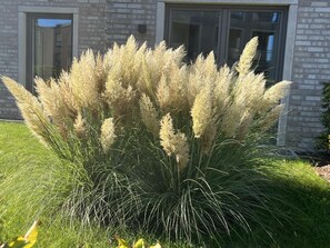 تفاصيل الفندق من الخارج