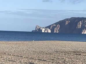 بالقرب من الشاطئ