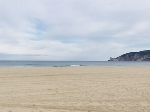 Nära stranden