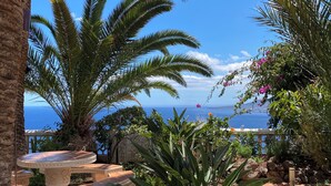 Une terrasse avec une table et des chaises, entourée de palmiers et de plantes fleuries, offrant une vue panoramique.