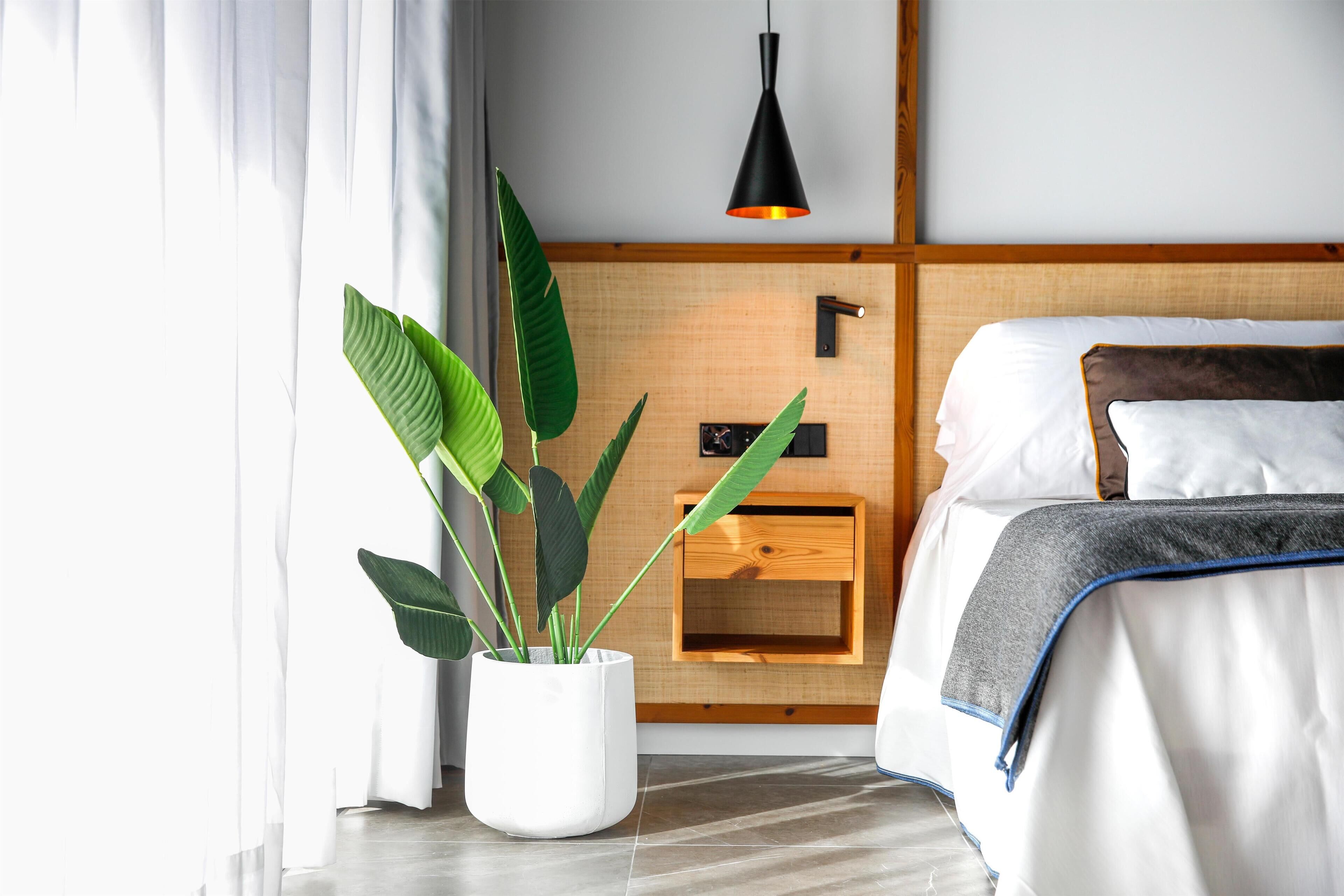Une chambre d’hôtel moderne équipée d’un lit, d’une table de chevet, d’une petite table, d’une plante en pot et d’une lampe suspendue.