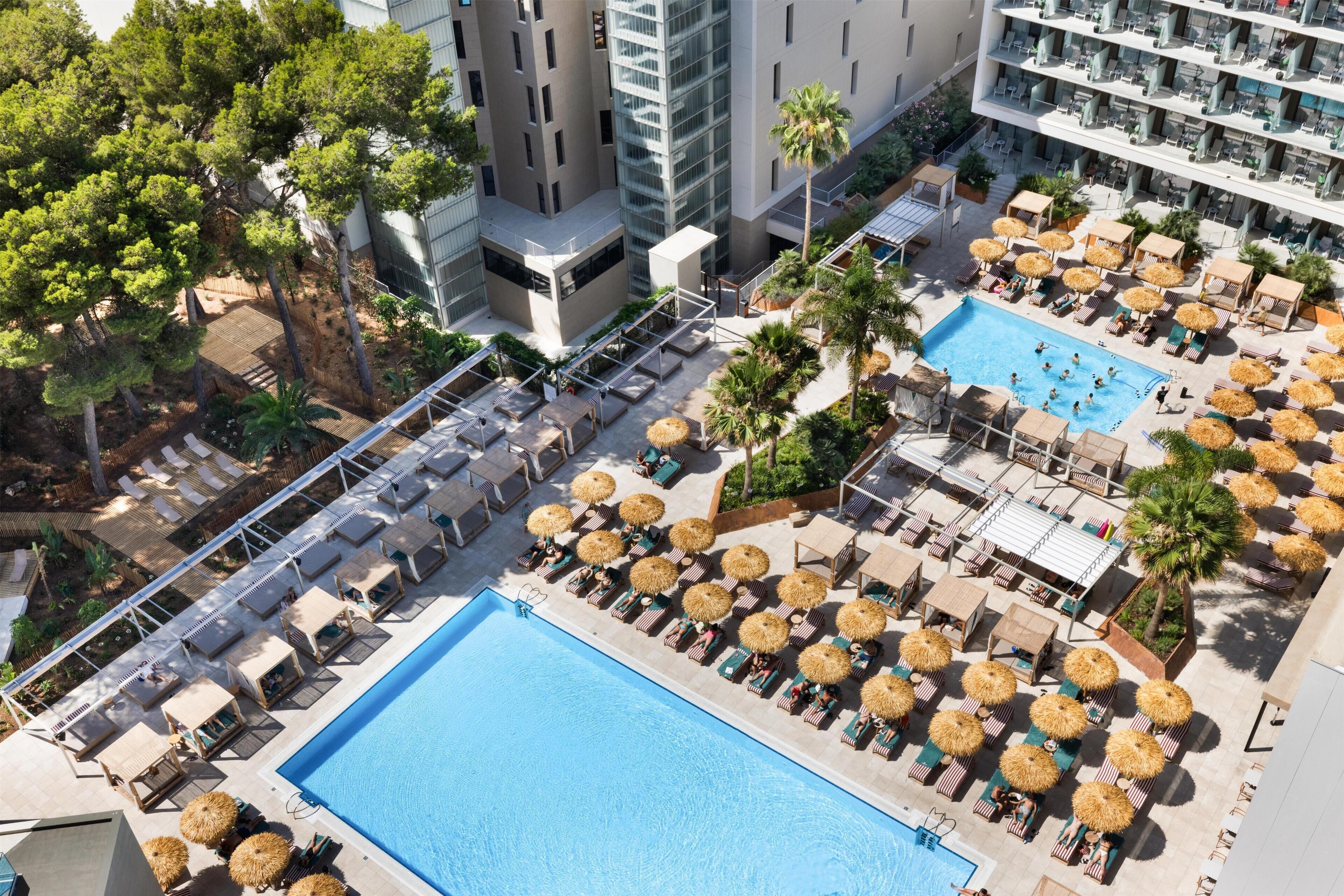 Un espace piscine aménagé sur le toit, avec des chaises longues et des parasols, entouré d’arbres et d’immeubles.
