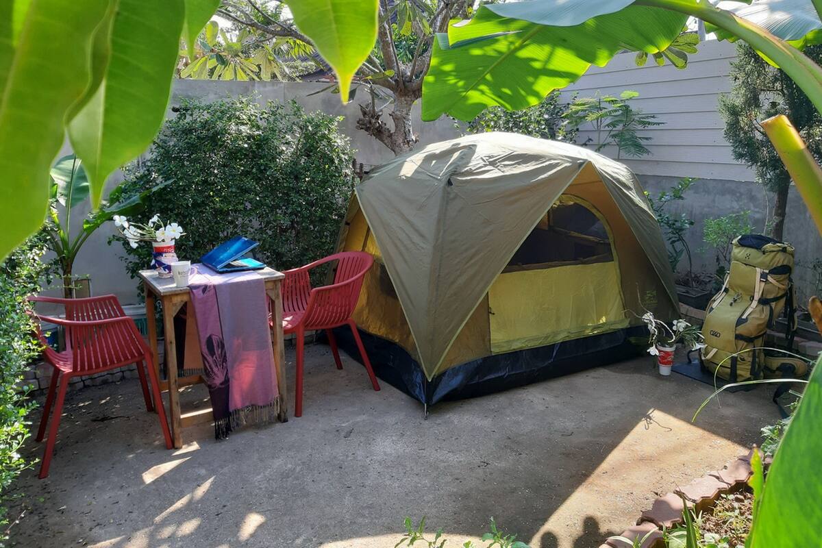 MJ Tent 1or2 Person on my Yard | View from room
