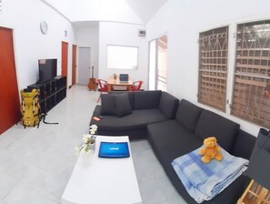 MJ Couch 1or2 Person in my living room | View from room