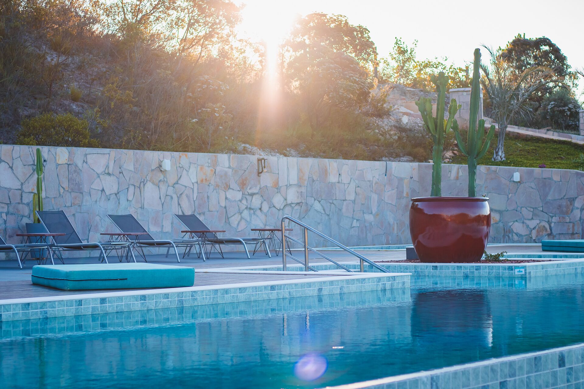 A pool area with lounge chairs and a large potted plant.