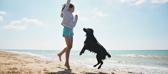 46 Ocean Breeze: Luxury Villa, Newly Updated, Pet Friendly, Free Bikes