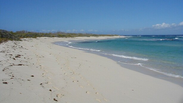 En strand med vit sand och kristallklart blått vatten.