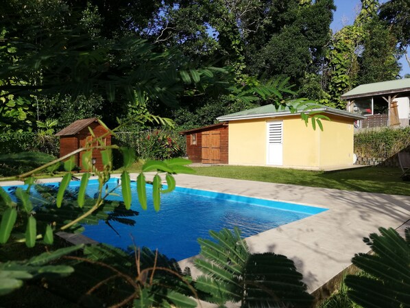 Una piscina rodeada de exuberante vegetación y una pequeña estructura de madera.