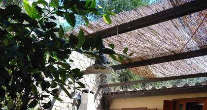 In private consortium with use of pool and beach