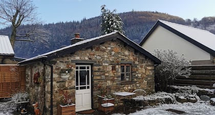 Dolweunydd Bed & Breakfast