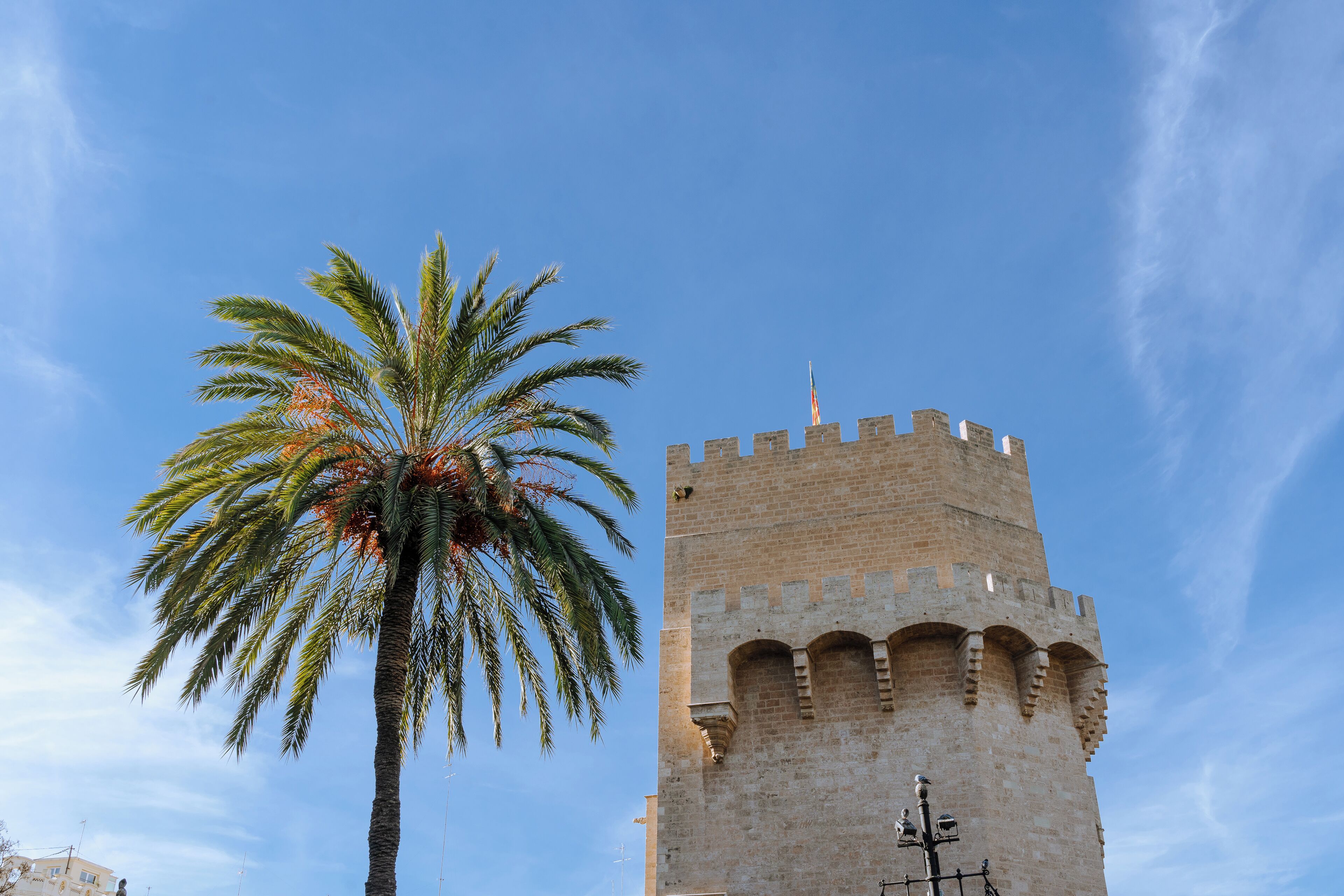 A tall, historic tower with a crenellated top and a palm tree in the foreground.
