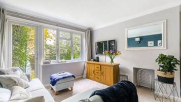 TV, DVD player, books