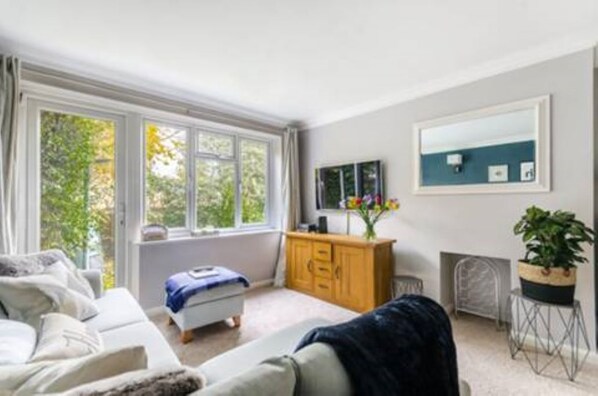 TV, DVD player, books