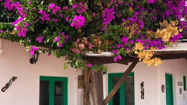 Exterior detail - Vivienda vacacional Buganvilla (Tias)