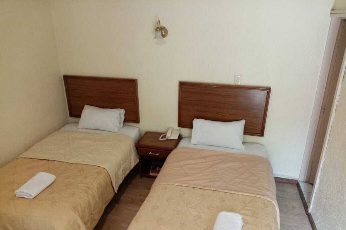 Executive Double Room, 2 Single Beds