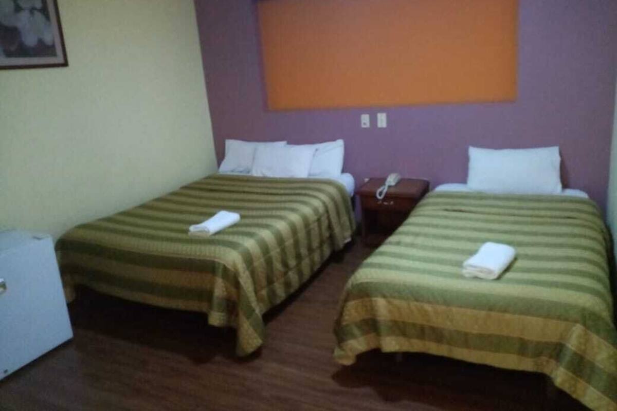 Family Triple Room, 3 Single Beds