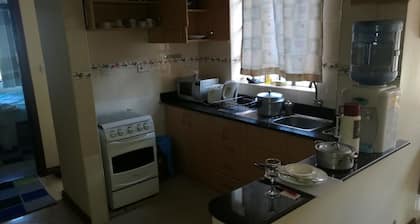 Gracious Apartment