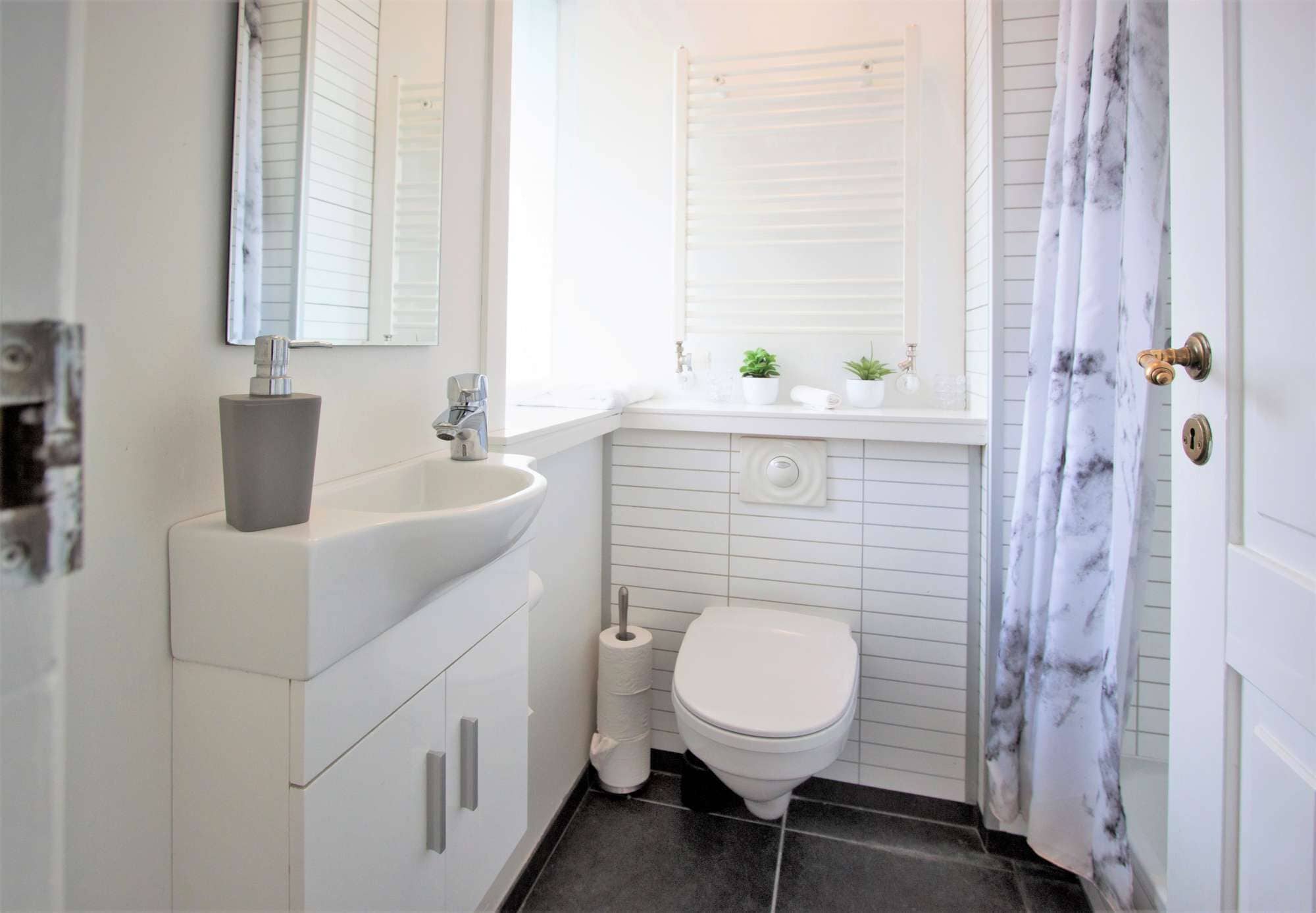 Shower, hair dryer
