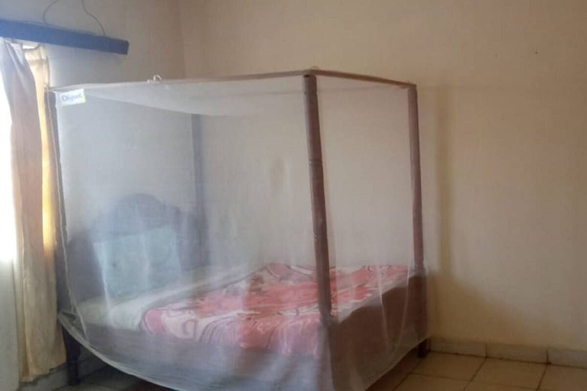 A room with a bed under a mosquito net.