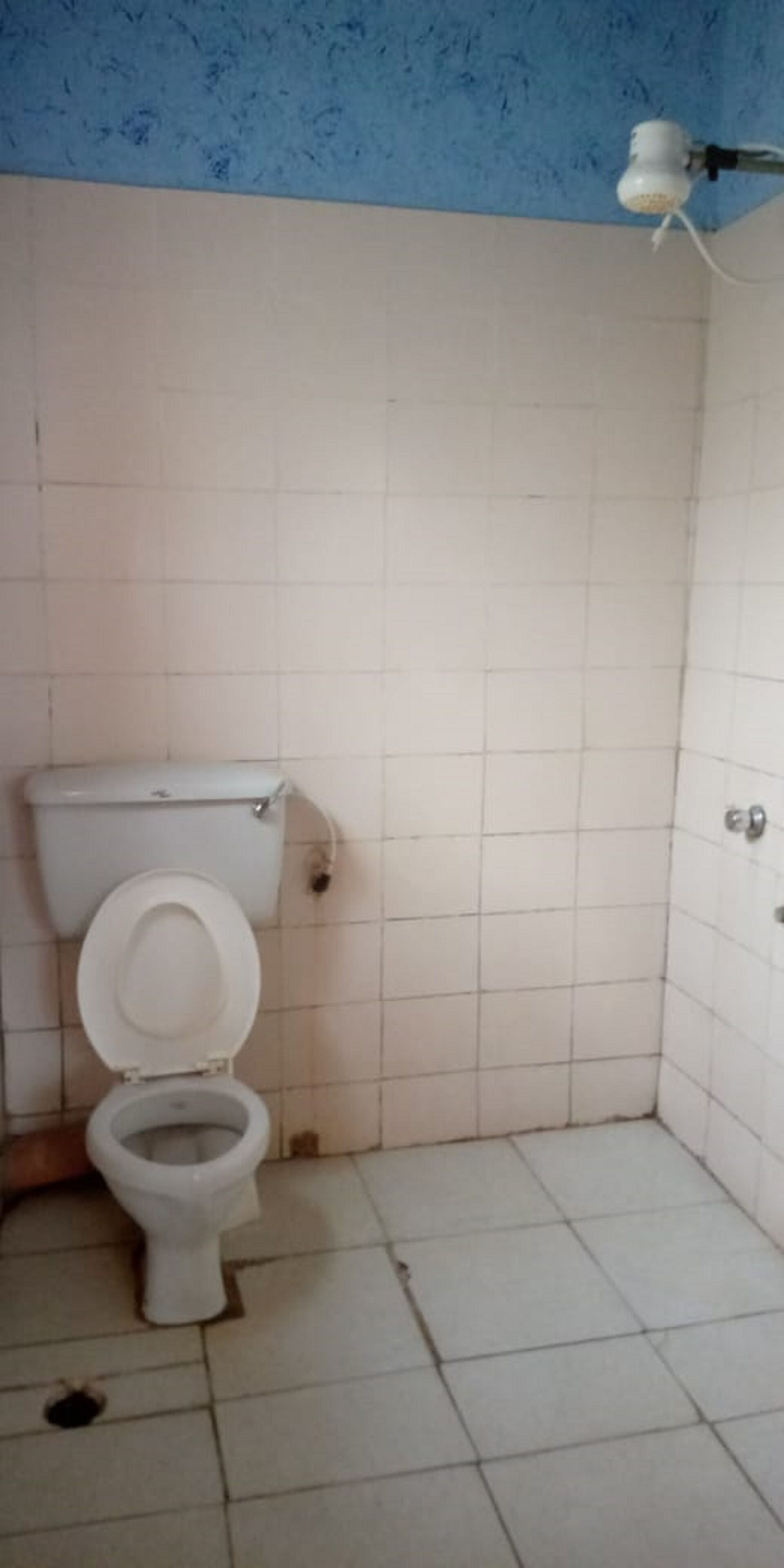 A small, tiled bathroom with a toilet, a blue wall, and a ceiling light fixture.