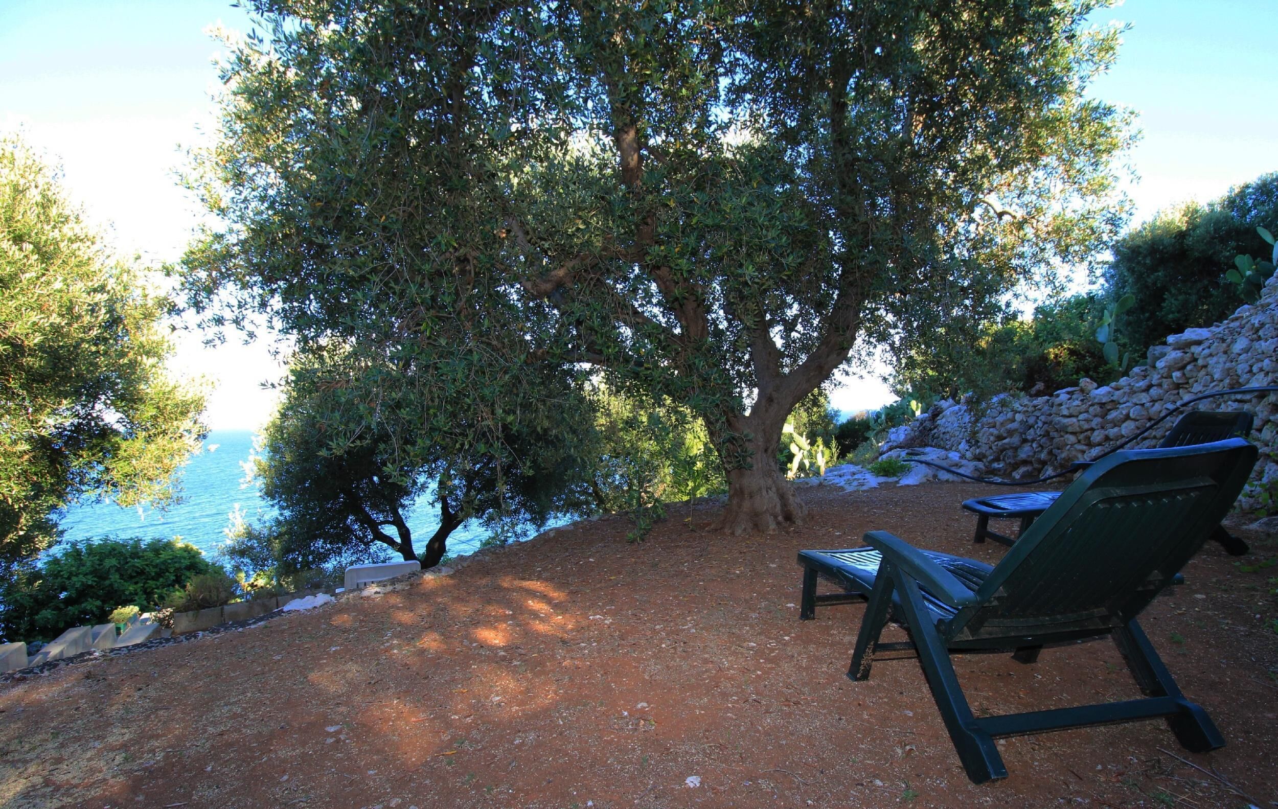 숙박 시설 구내