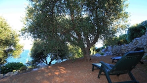 Un sentier bordé d’arbres, avec un banc et une table, d’où l’on a vue sur une étendue d’eau.