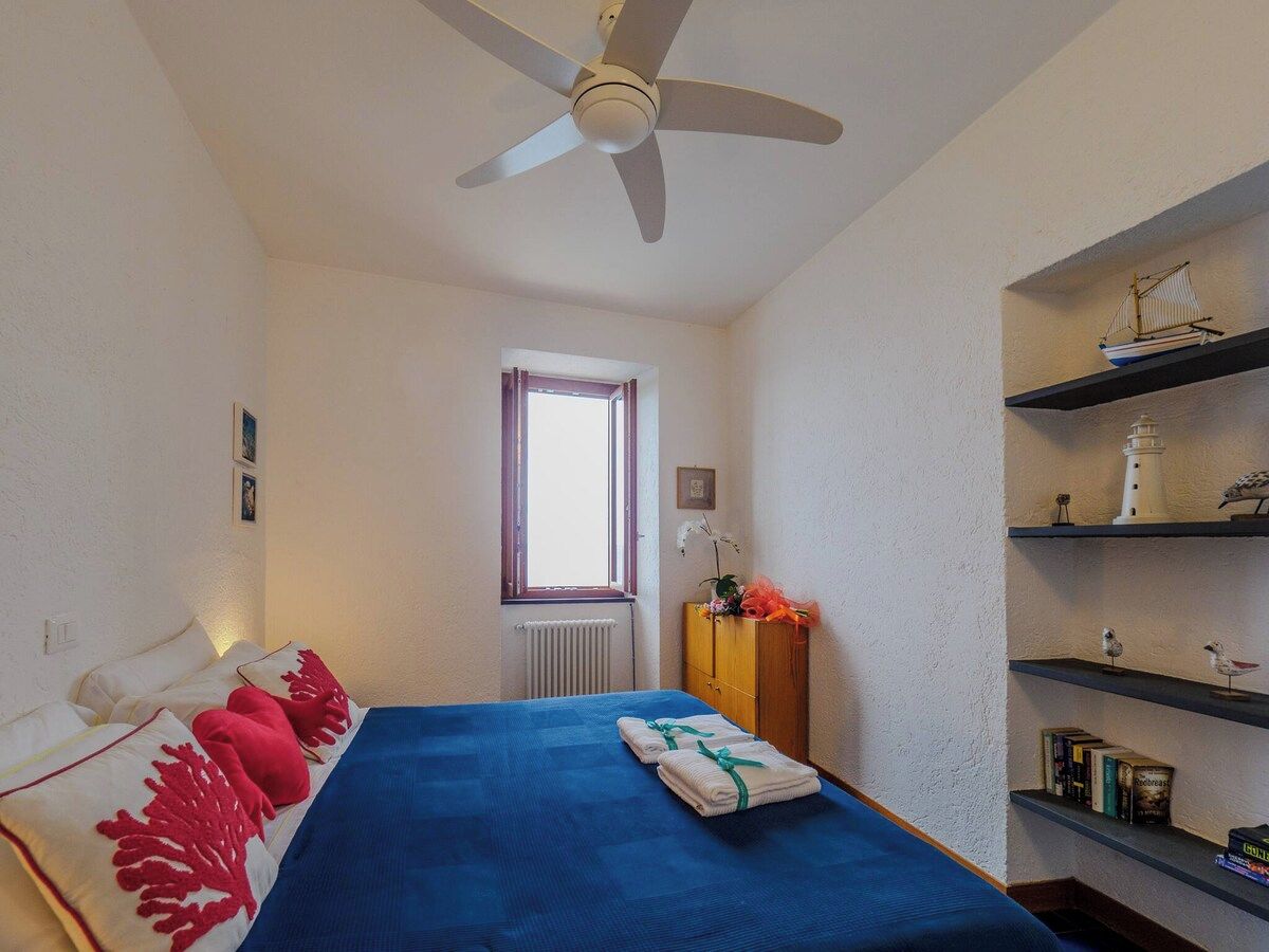 A bedroom with a bed, a ceiling fan, a window, a radiator, a bookshelf, and a small shelf with decorative items.