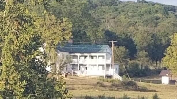 Ein Haus mit grüner Dachbegrünung, umgeben von Bäumen und einem Gewässer.