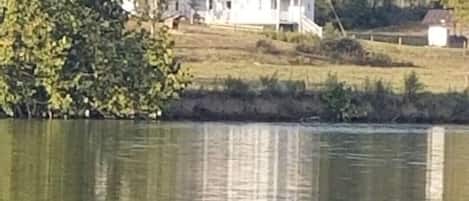 Esterni