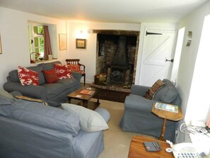 TV, fireplace - River Cottage a country retreat in wooded gardens (Wareham)