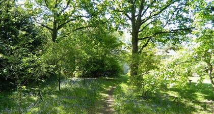River Cottage a country retreat in wooded gardens