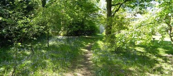 River Cottage a country retreat in wooded gardens
