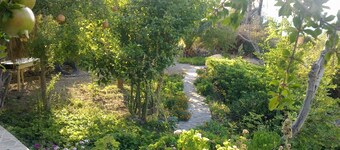 Beach family house in green
