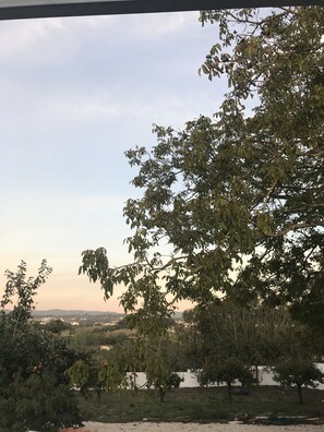 A view of a landscape with trees and a distant view of a town.