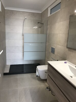 Combined shower/tub, hair dryer, towels, toilet paper