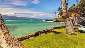 Escena costera con césped, una palmera y una playa con olas.